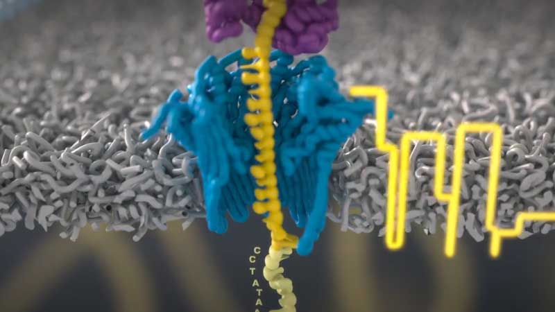 Nanopore
